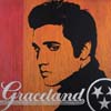 ELVIS2