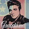 ELVIS4
