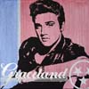 ELVIS_5